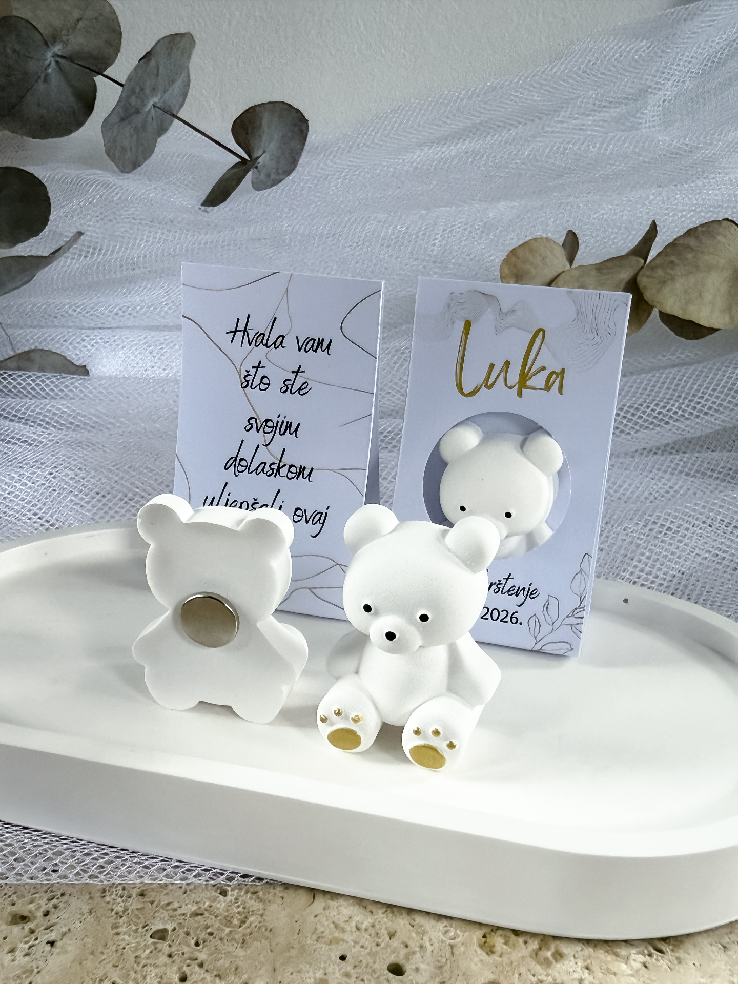 Teddy magnet, fotografija 2